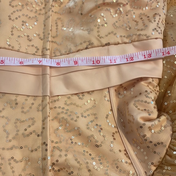 Princess Barbiecore Ballgown Party PROM Bridal  Carnival Pageant Homecoming Tull - Picture 16 of 17